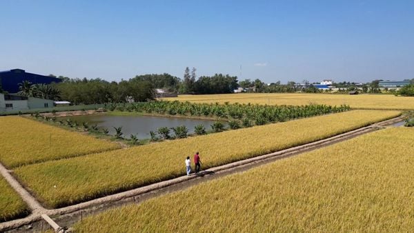 Doanh Nghiệp Tư Nhân TMDV Hồ Quang