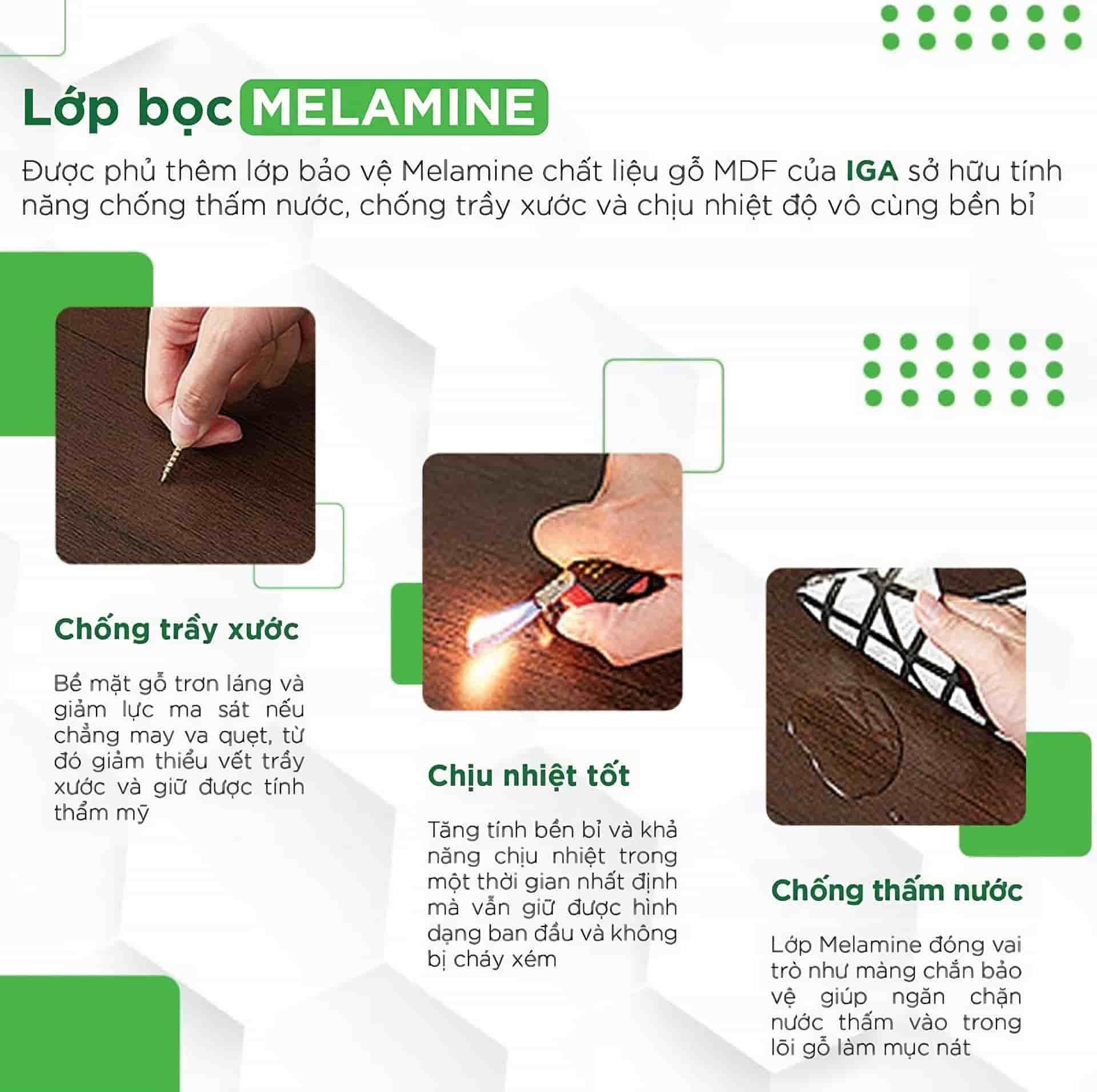 Hồ sơ năng lực xưởng IGA Việt Nam