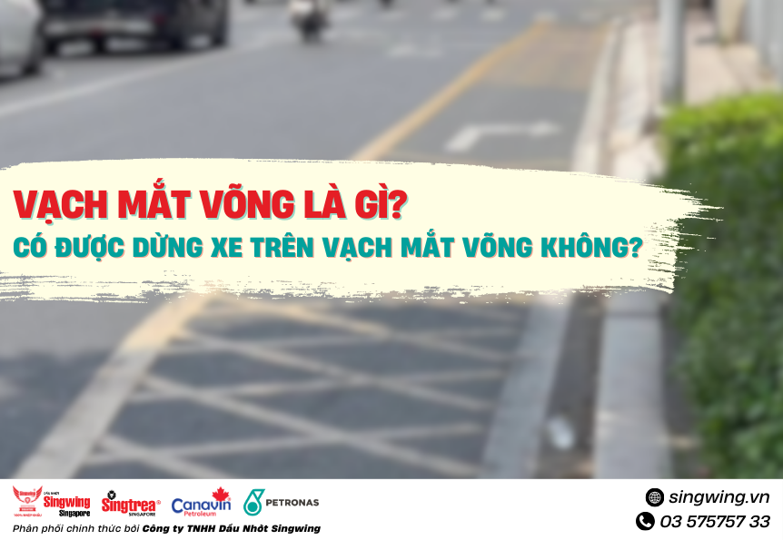 VẠCH MẮT VÕNG LÀ GÌ? CÓ ĐƯỢC DỪNG XE TRÊN VẠCH MẮT VÕNG KHÔNG?