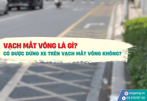 VẠCH MẮT VÕNG LÀ GÌ? CÓ ĐƯỢC DỪNG XE TRÊN VẠCH MẮT VÕNG KHÔNG?