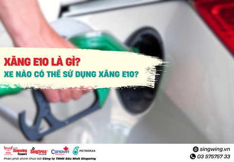 XĂNG E10 LÀ GÌ? XE NÀO CÓ THỂ SỬ DỤNG XĂNG E10?