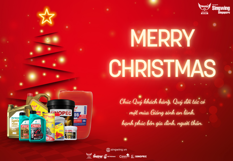 🎄 MERRY CHRISTMAS 2025 🎄