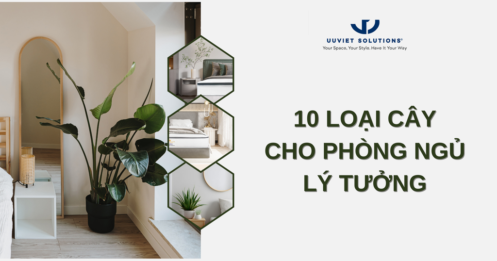10 LOẠI CÂY CHO PHÒNG NGỦ LÝ TƯỞNG