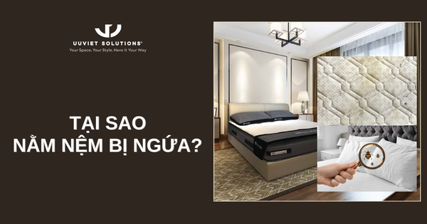 TẠI SAO NẰM NỆM BỊ NGỨA? NGUYÊN NHÂN VÀ CÁCH KHẮC PHỤC