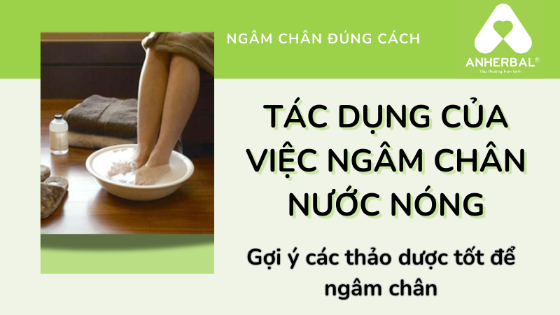 Tác dụng của việc ngâm chân nước nóng. Gợi ý các thảo dược tốt để ngâm chân.