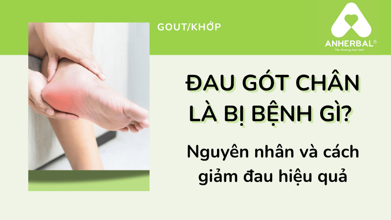 Đau gót chân là bị bệnh gì? Nguyên nhân và cách giảm đau hiệu quả.