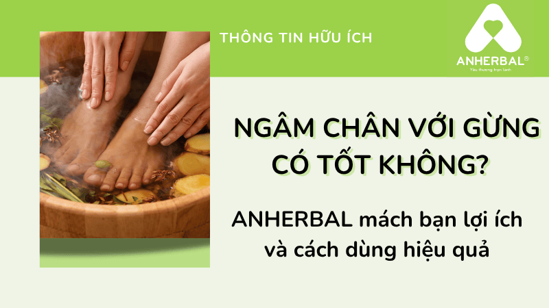 Ngâm chân với gừng có tốt không? Lợi ích và cách dùng hiệu quả