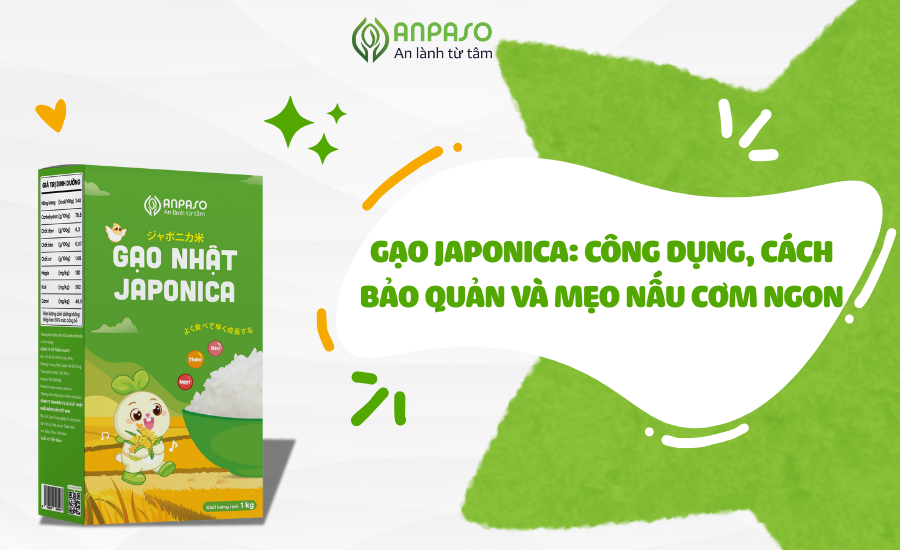 Gạo Japonica là gì? Cách chọn và nấu gạo chuẩn ngon nhất