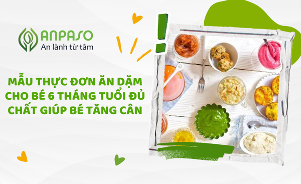 Mẫu thực đơn ăn dặm cho bé 6 tháng đầy đủ dinh dưỡng