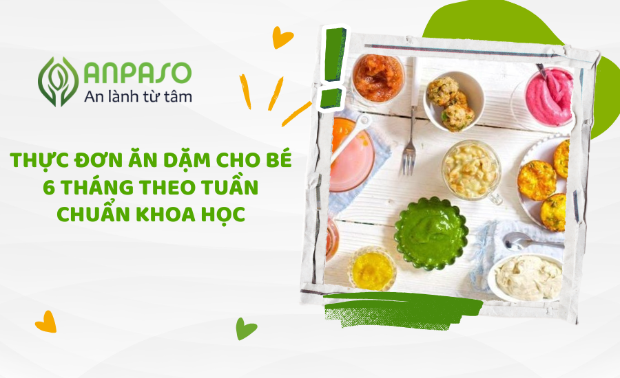 Thực đơn ăn dặm cho bé 6 tháng theo tuần chuẩn khoa học