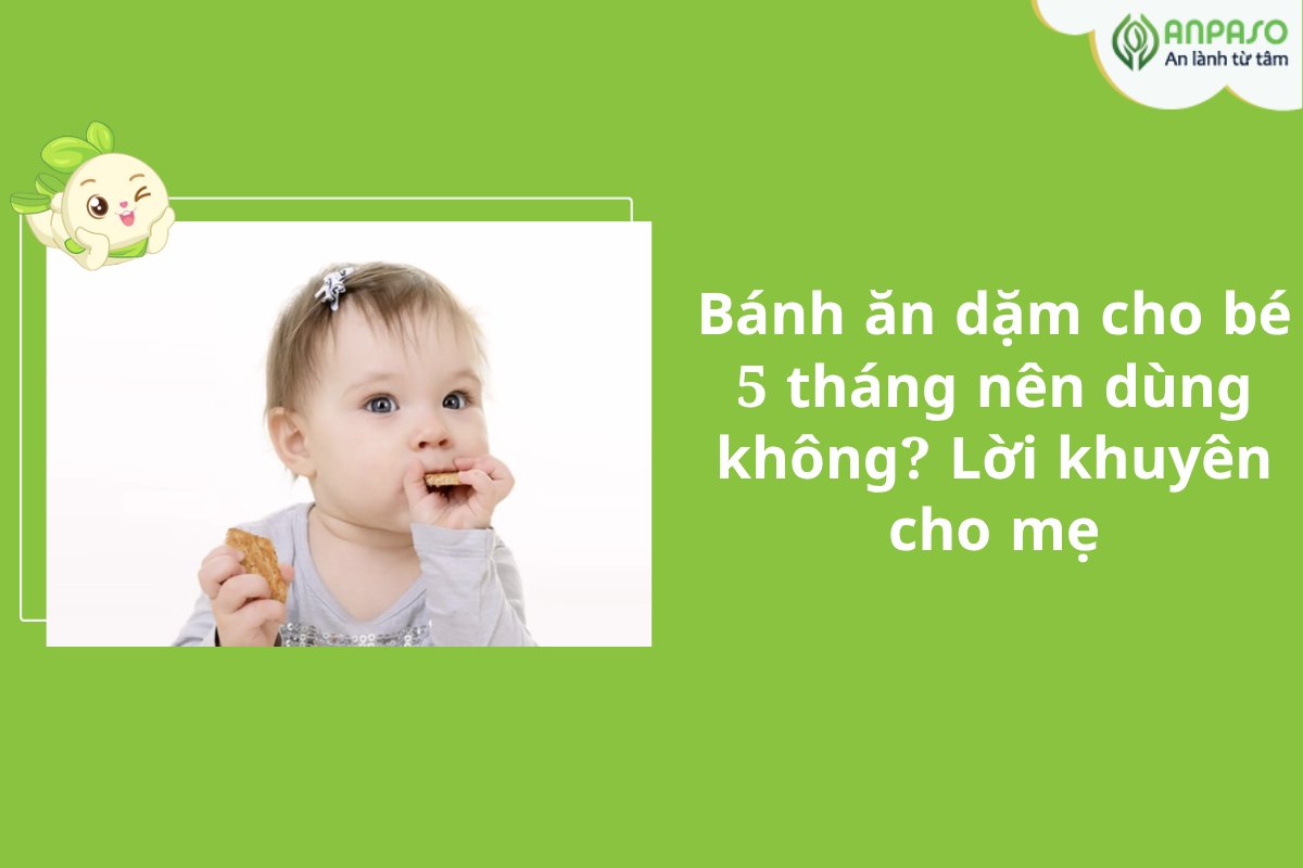 Bánh ăn dặm cho bé 5 tháng nên dùng không? Lời khuyên cho mẹ