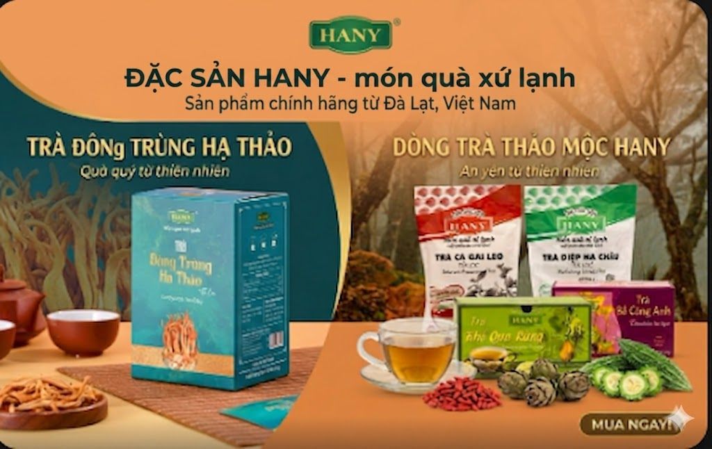 Trà đông trùng hạ thảo & trà thảo mộc: Bí quyết chăm sóc sức khỏe toàn diện