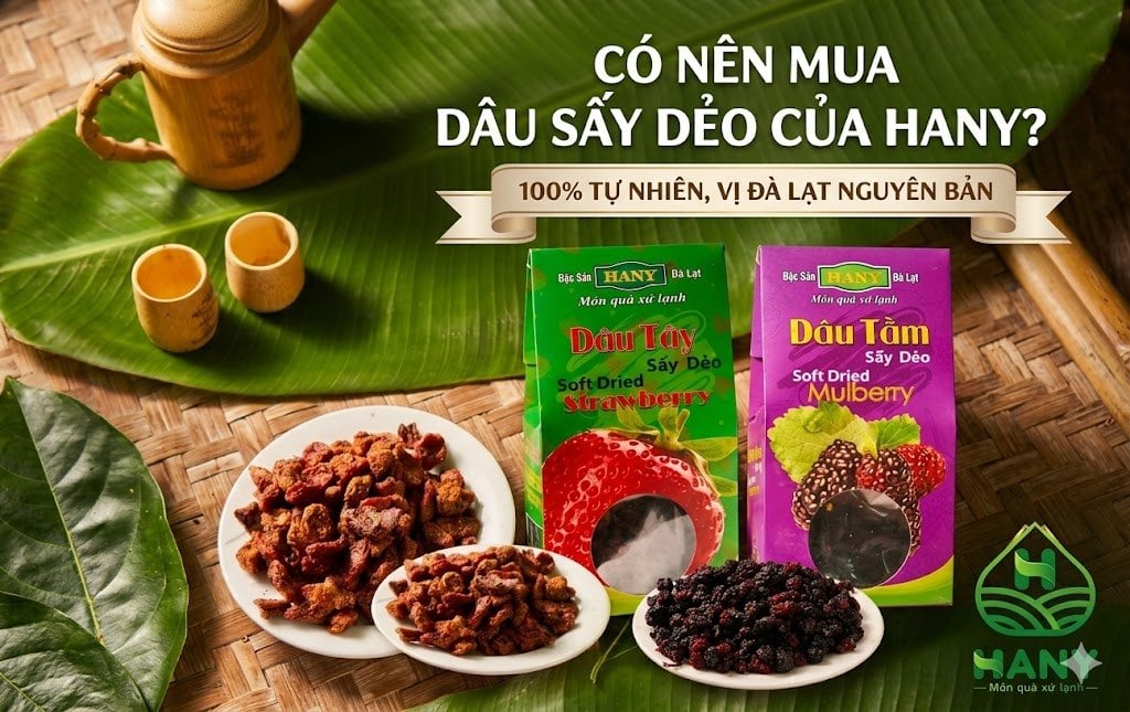 Review Dâu Tây & Dâu Tằm Sấy Dẻo Hany Đà Lạt Có Ngon Không?