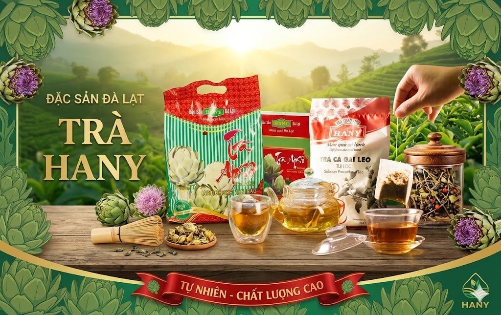 Trà atiso và trà cà gai leo: Khác nhau gì? Nên chọn loại nào?