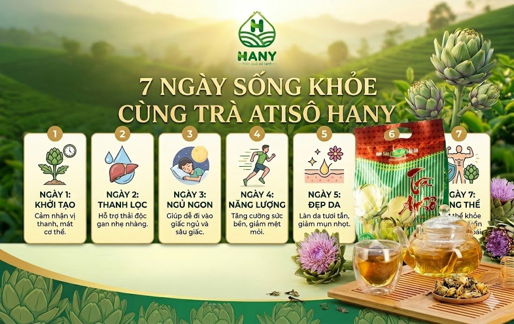 Review 7 Ngày Uống Trà Atiso Túi Lọc Hany: Kết Quả Bất Ngờ!