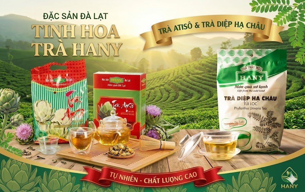 Trà atiso và trà diệp hạ châu: Khác nhau gì? Nên chọn loại nào?