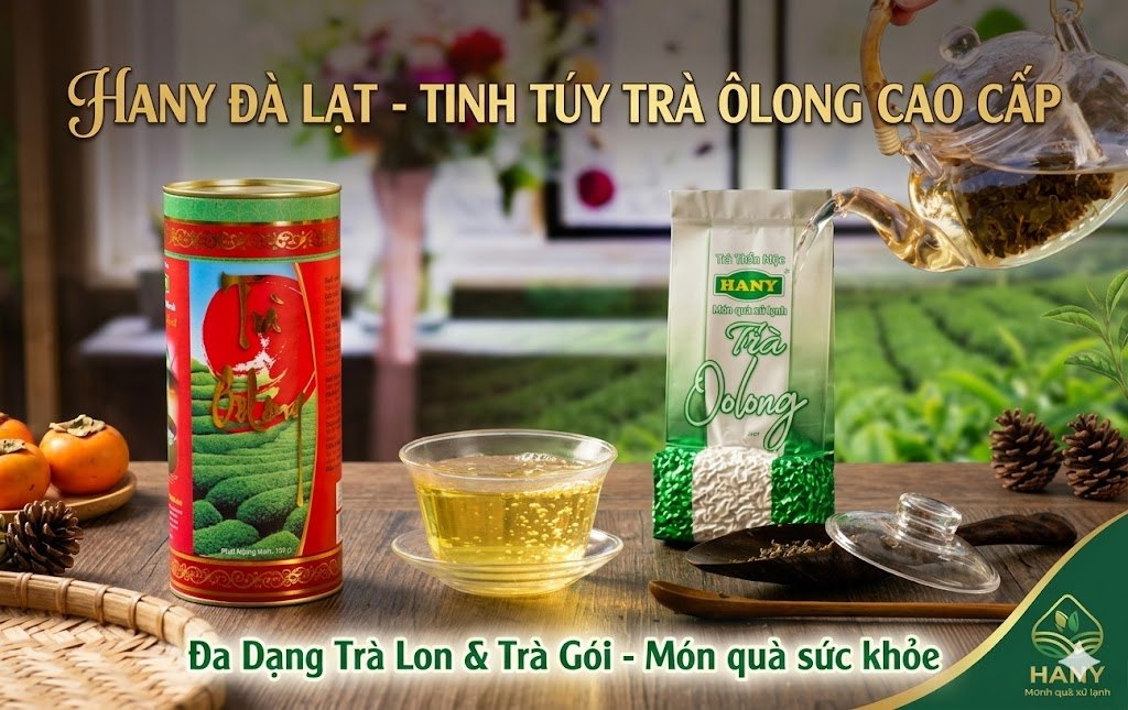 Trà Oolong HANY Gói & Lon: Loại Nào Ngon Hơn?