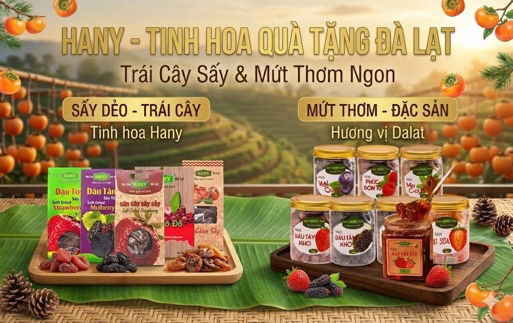 Trái cây sấy vs mứt: Loại nào ngon và nên chọn?