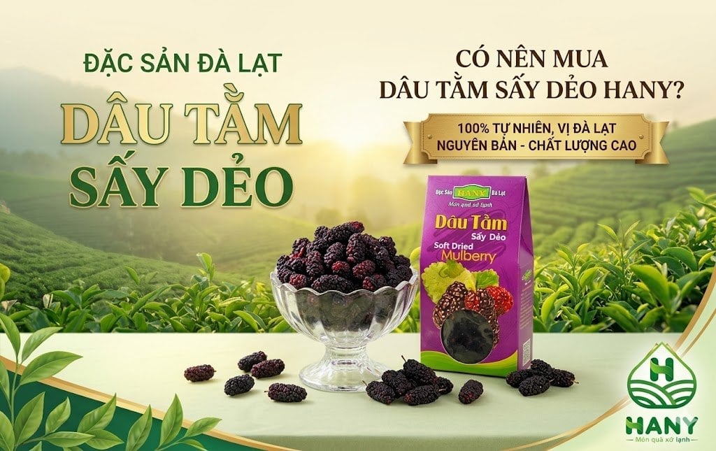 Review Dâu Tằm Sấy Dẻo Hany Có Đáng Mua Không?