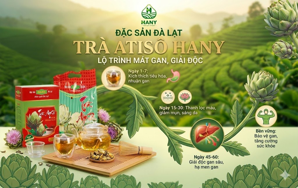 Uống Trà Atiso Bao Lâu Hiệu Quả? Lộ Trình Thải Độc 7 Ngày