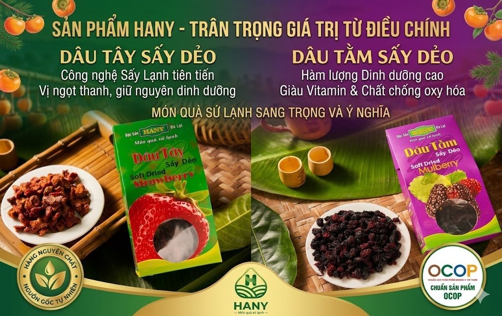 Dâu sấy dẻo và sấy lạnh: Khác nhau gì? Loại nào ngon?
