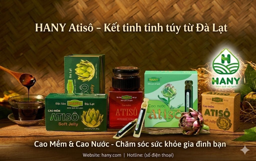 Cao Atiso HANY: Cao Mềm & Cao Nước Loại Nào Tốt?