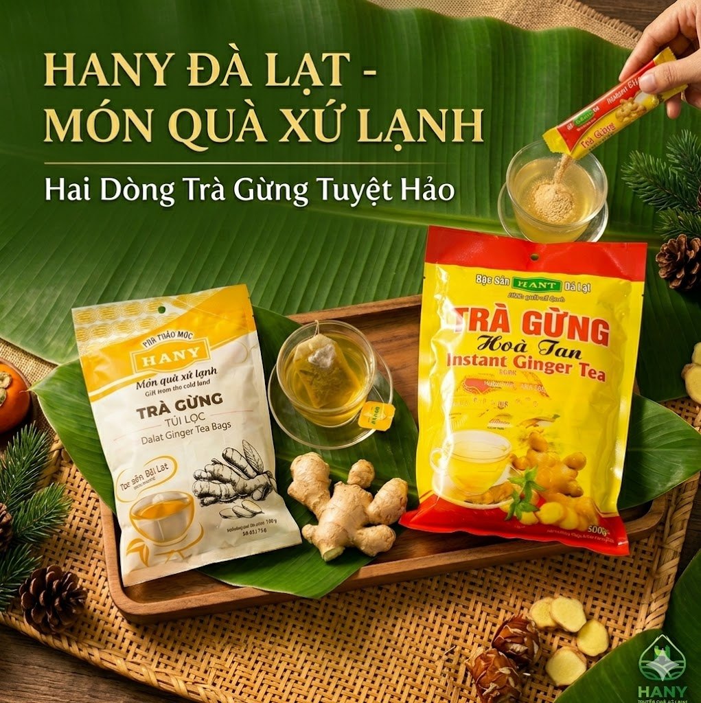 Trà gừng túi lọc không đường vs trà gừng hòa tan: Nên chọn loại nào?