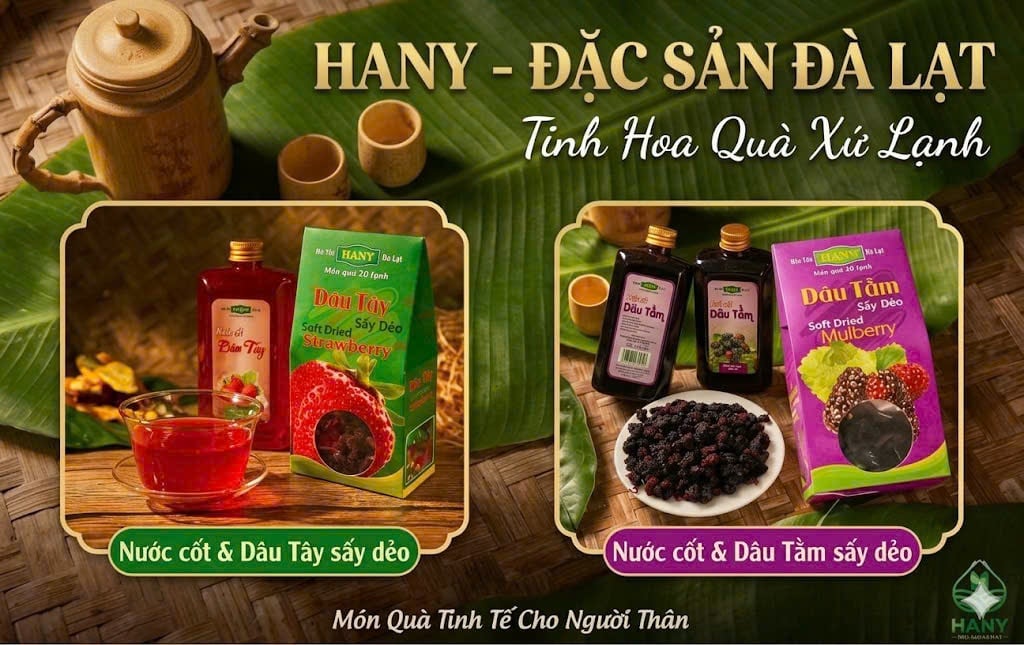 Nước cốt dâu và dâu sấy: Khác nhau gì? Nên chọn loại nào?