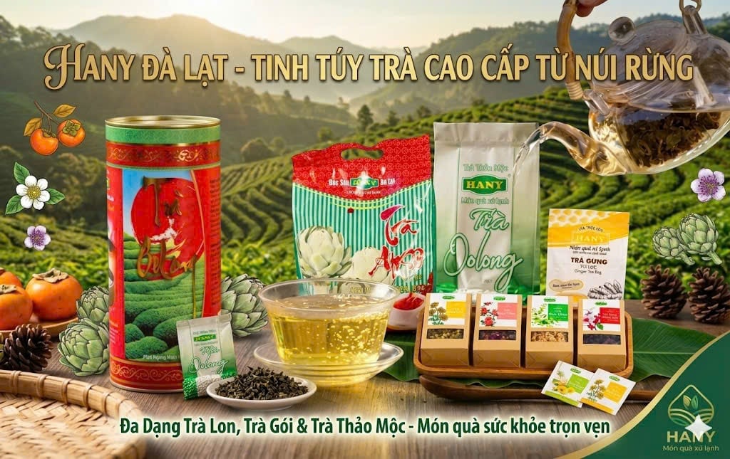 Trà Đà Lạt & Trà Thái Nguyên: Nên Chọn Loại Nào Tốt?