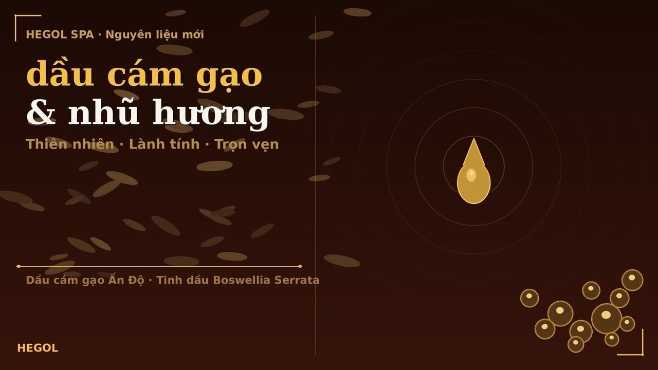 Hegol nâng cấp dầu xoa bóp bấm huyệt - dầu cám gạo và tinh dầu nhũ hương