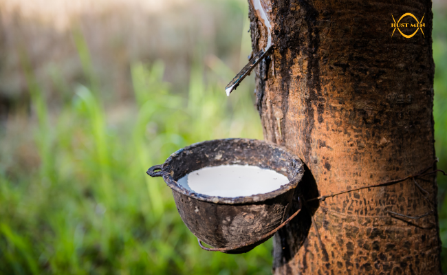 Vai trò của Nano Silica trong sản xuất cao su trong