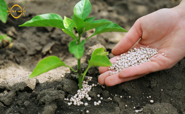 Silica in Fertilizers: Benefits for Modern Agriculture