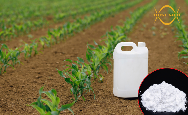 Ứng dụng của Silica trong thuốc bảo vệ thực vật