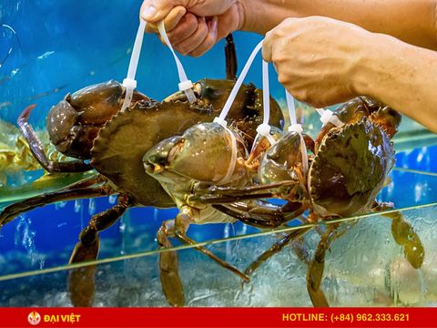 Ăn Hải Sản Ở Đâu Ngon Sài Gòn? Điểm Đến Không Thể Bỏ Lỡ Tại Quận 1