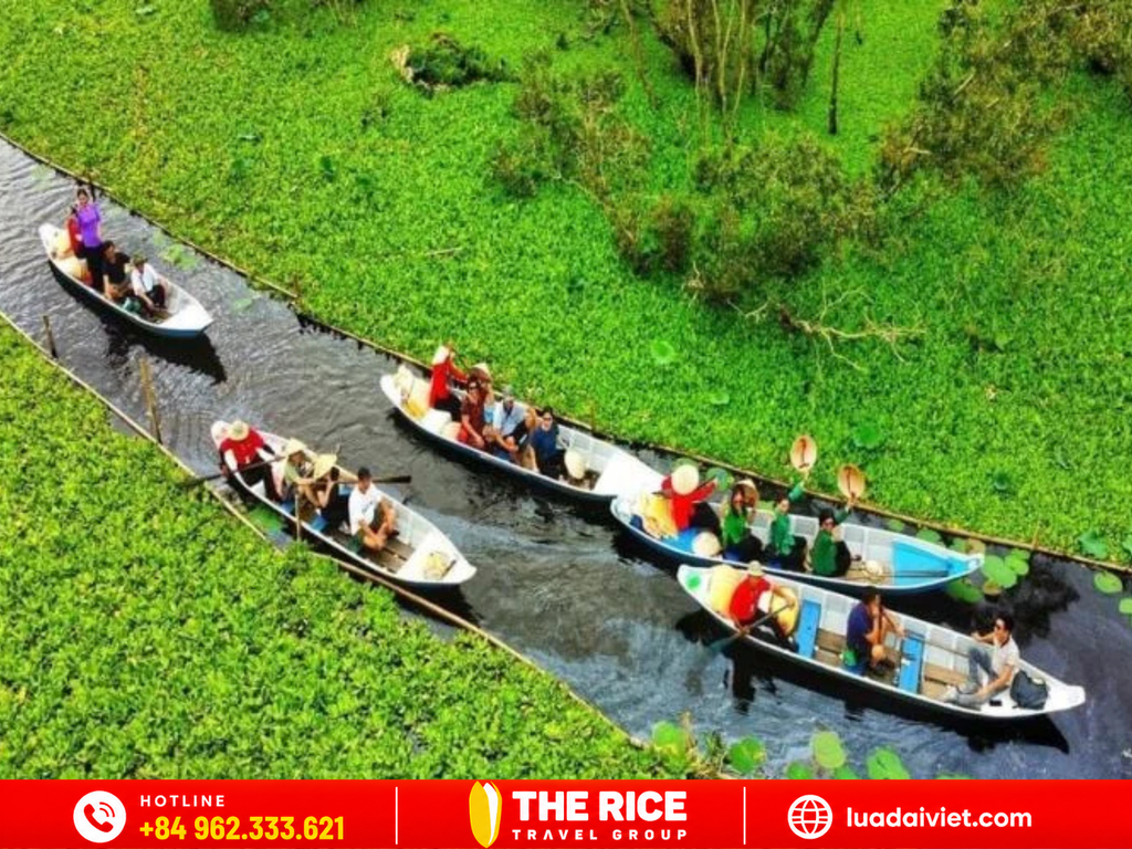 Mekong Delta 1 Day Tour: Explore Southern Vietnam River Life
