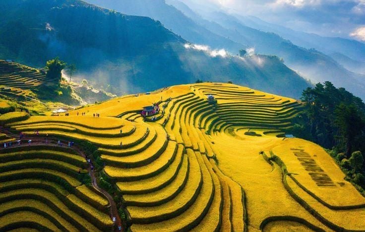 Mu Cang Chai in September – The Golden Season of Northwest Vietnam