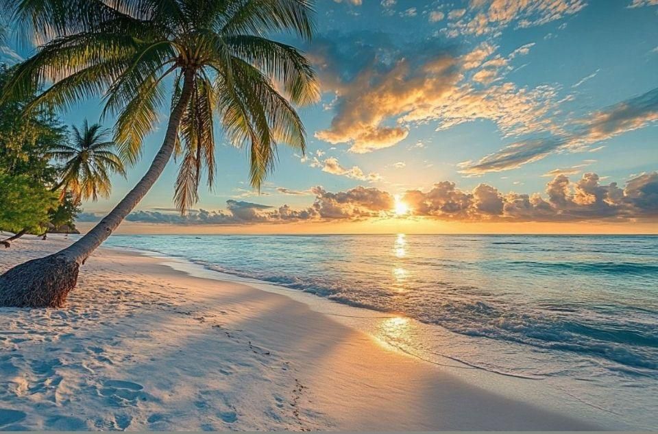 Nha Trang Travel – Discover the Paradise of Blue Seas, White Sands, and Exquisite Cuisine