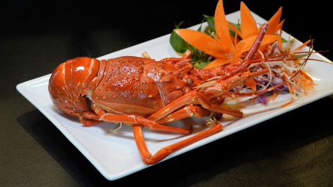 Tôm hùm xanh – Đặc sản thượng hạng tại Nhà hàng Gió Biển Đại Việt