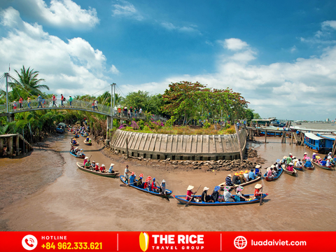 Tour Miền Tây 1 Ngày: Cẩm Nang Khám Phá Xứ Dừa Bến Tre
