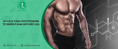 10+ Cách tăng Testosterone tự nhiên ở nam giới hiệu quả