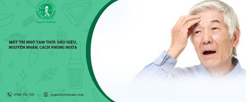 Mất trí nhớ tạm thời: Dấu hiệu, nguyên nhân, cách phòng ngừa