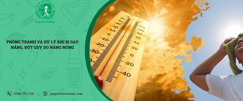 Phòng tránh và xử lý khi bị say nắng, đột quỵ do nắng nóng