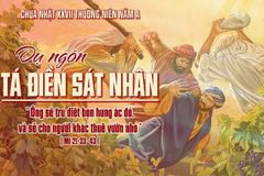 Suy Niệm Lời Chúa Chúa Nhật Tuần XXVII Mùa Thường Niên - Năm A