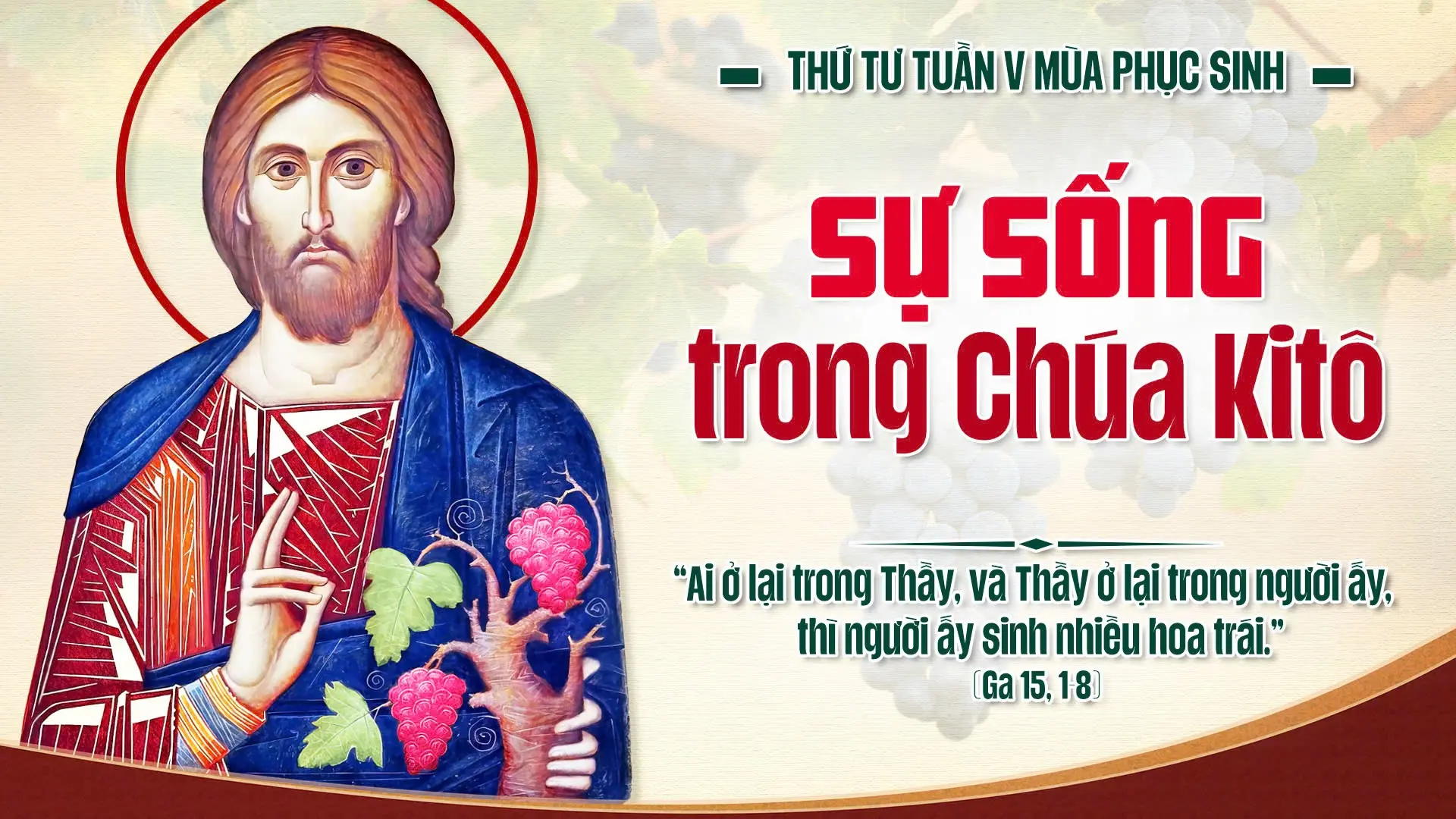 Suy Niệm Lời Chúa Thứ Tư Tuần V Mùa Phục Sinh