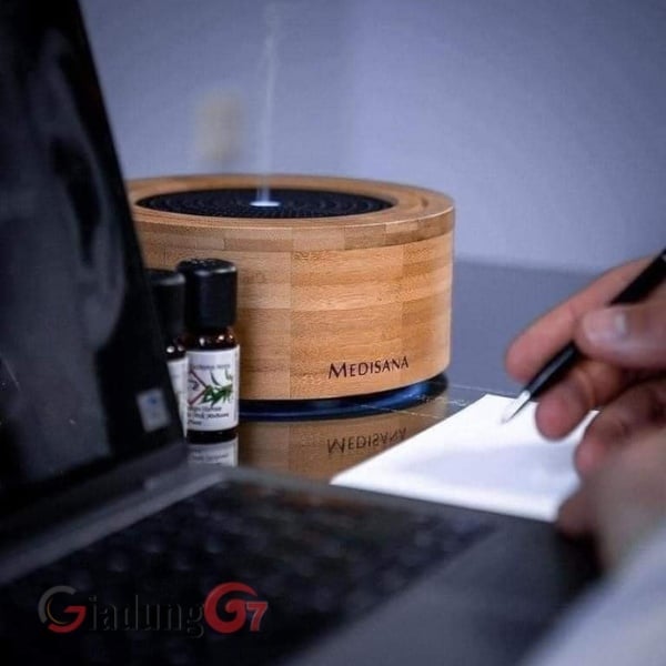 10 mẹo chống muỗi hiệu quả trong nhà và ngoài trời | Bí quyết mùa hè an toàn