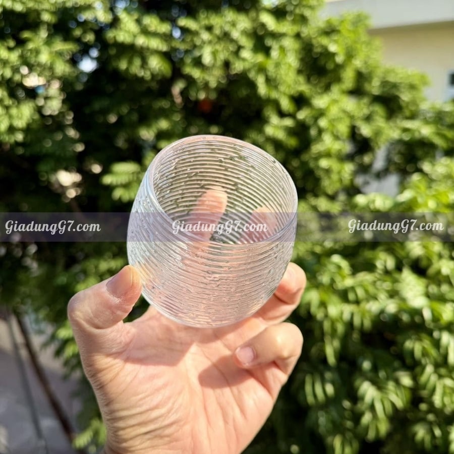 Bộ 6 cốc IVV Clear Multicolors 250ml Được làm thủ công ở Ý từ thủy tinh thổi miệng