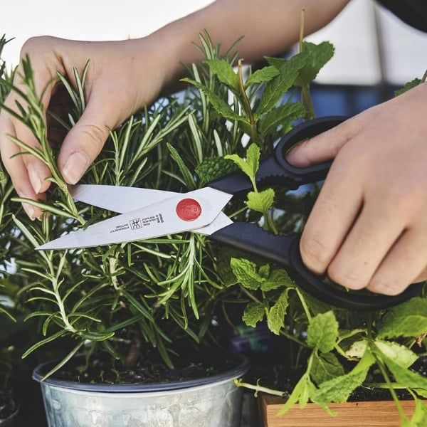 Kéo nhà bếp Zwilling Twin L 20.5cm Thiết kế tay cầm tiện dụng đảm bảo cầm nắm thoải mái, giảm mỏi tay khi sử dụng lâu dài