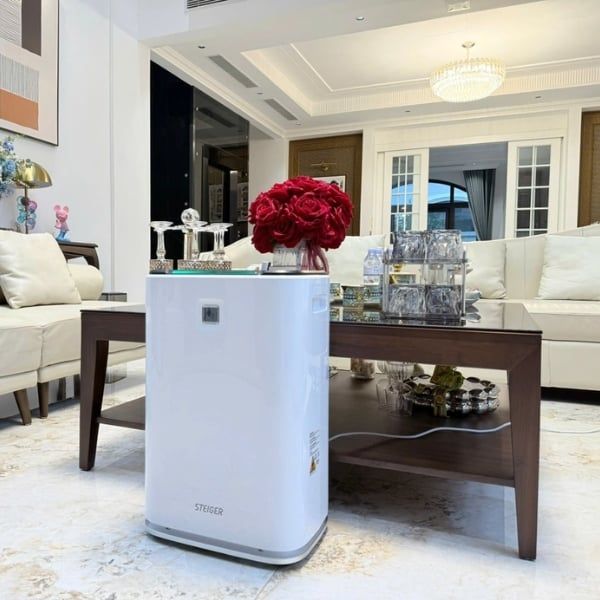 Máy hút ẩm Steiger STG 835DW/Pro 35L/ngày Thiết Kế Hiện Đại và Thân Thiện Với Người Dùng
