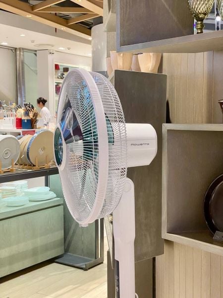 Quạt cây Rowenta VU5890 - Nội địa Đức
