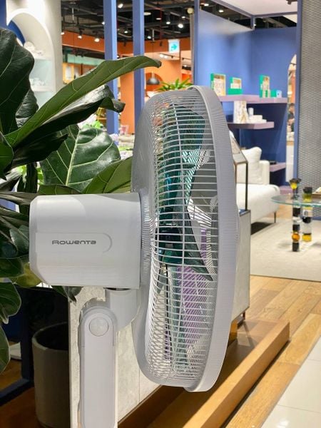 Quạt cây Rowenta VU5890 - Nội địa Đức